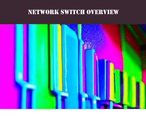 Business Network Switches For MSPs